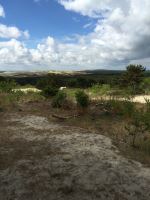 Curonian Spit Sand And Sea
